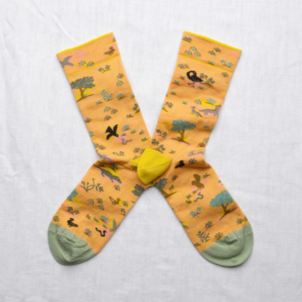 Colanero Dotted Pattern Socks
